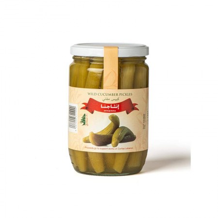 Wild Cucumber Pickles | 600g